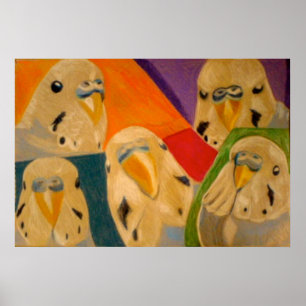 Pôster Cartaz do Periquito Australiano Budgie