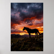 Cartaz do pôr do sol da silhueta do cavalo majesto