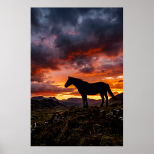 Poster Cartaz do pôr do sol da silhueta do cavalo majesto