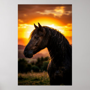 Poster Cartaz do pôr do sol de cavalo preto majestoso   O