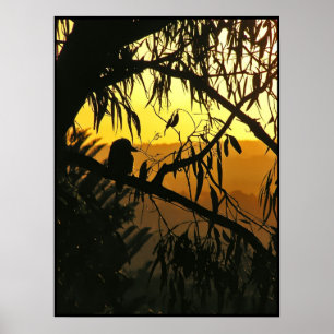 Pôster Cartaz do Pôr do Sol do Solstício Australiano