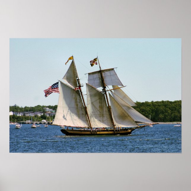 Poster Cartaz do Pride of Baltimore II Tall Ship (Frente)