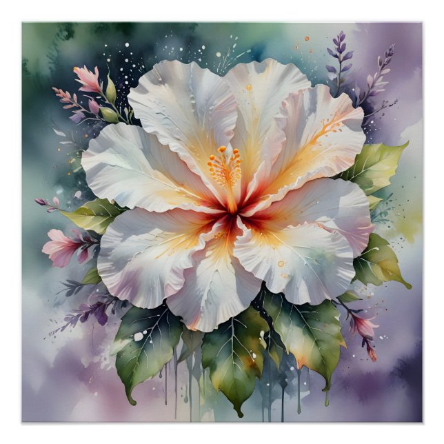 Pôster cartaz do sonho de hibisco branco (Frente)