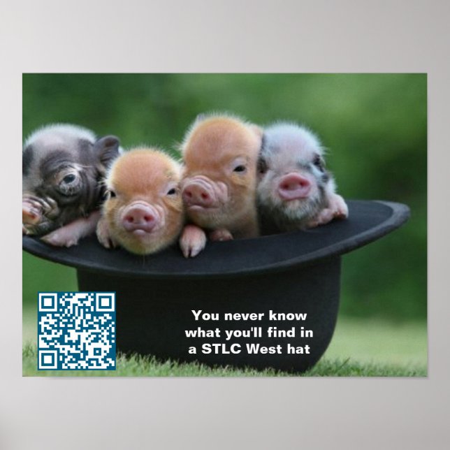 Poster Cartaz do STLC West Hat (Frente)