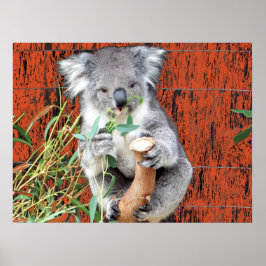 Poster Cartaz do Tempo de Lanche do Koala
