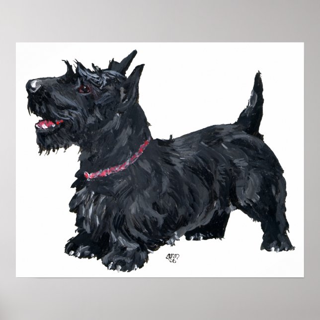 Pôster Cartaz do Terrier Escocês (Frente)