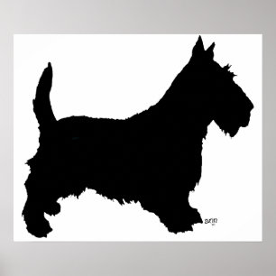Poster Cartaz do Terrier Escocês