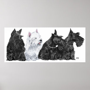 Pôster Cartaz do Terrier Escocês