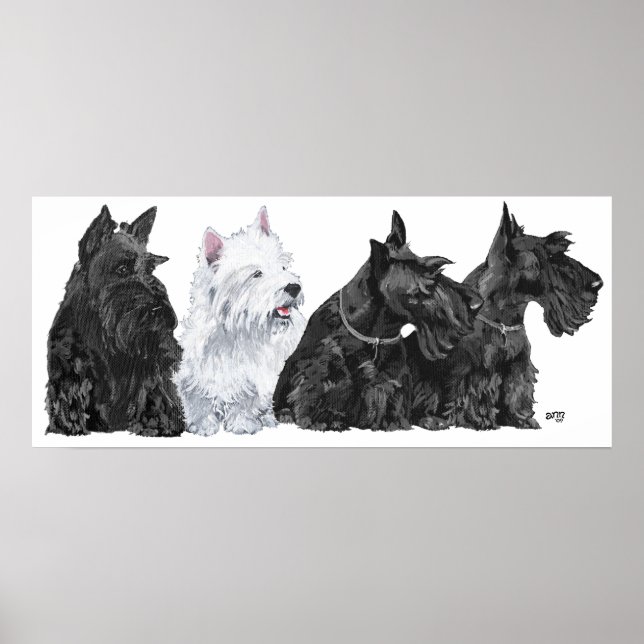 Pôster Cartaz do Terrier Escocês (Frente)