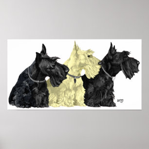 Poster Cartaz do Terrier Escocês