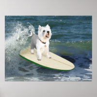 Cartaz do Westie Surfista
