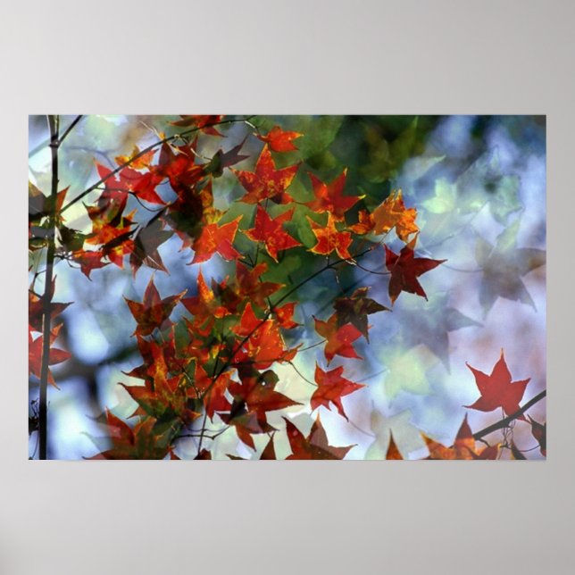 Pôster Cartaz Doce Outono (Frente)