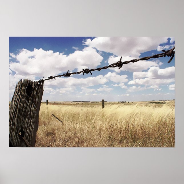 Poster Cartaz dos Limites da Natureza (Frente)