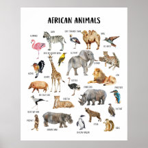 Cartaz Educativo de Animais Africanos para Sala de
