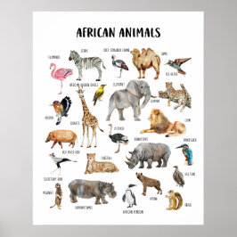 Poster Cartaz Educativo de Animais Africanos para Sala de