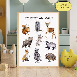 Pôster Cartaz Educativo de Animais da Floresta
