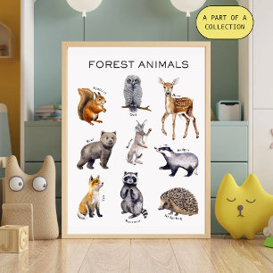 Pôster Cartaz Educativo de Animais da Floresta