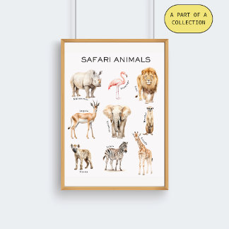 Pôster Cartaz Educativo de Animais da Savana