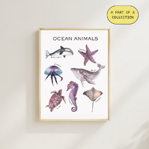 Pôster Cartaz Educativo de Animais Marinhos