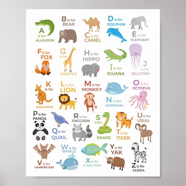 Poster Cartaz Educativo Infantil Alfabeto com Animais de  (Frente)