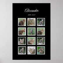 Cartaz Elegante para Pet com 12 Espaços para Fotos