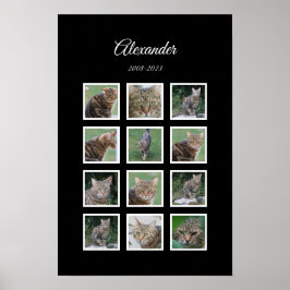 Poster Cartaz Elegante para Pet Preto com 12 Espaços para