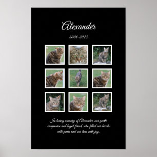 Poster Cartaz Elegante para Pet Preto com 9 Espaços para 