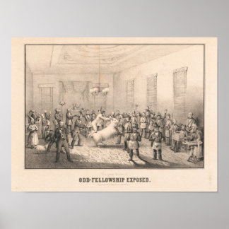 Poster Cartaz Exposto da Loja Lafayette - Odd Fellows