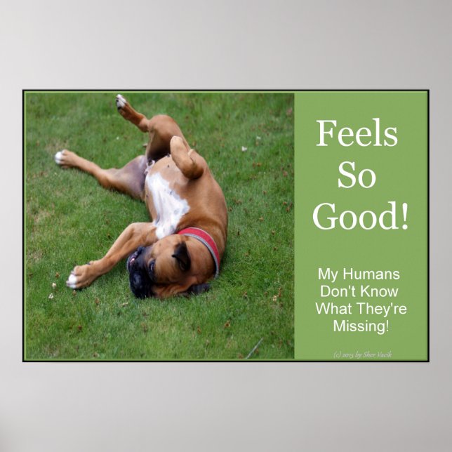 Pôster Cartaz Feels So Good (Frente)