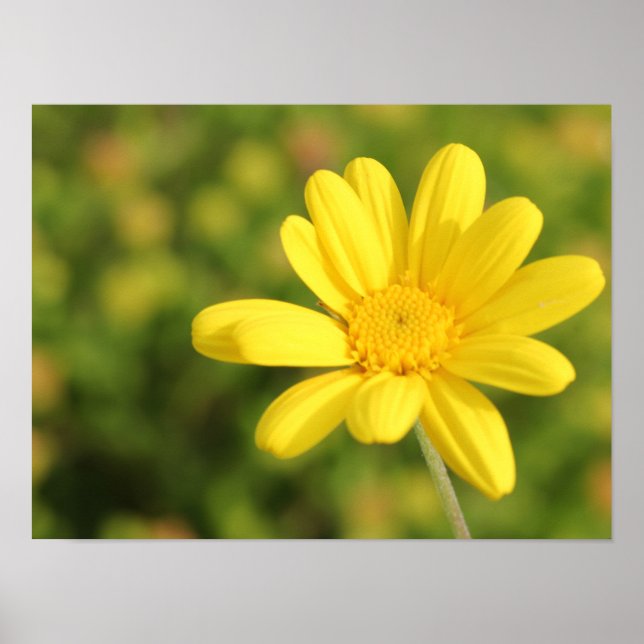 Poster Cartaz Flor Amarela Feliz A3 (Frente)