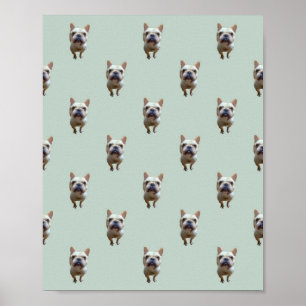 Poster cartaz fosco pattern_2_buldogue francês_2