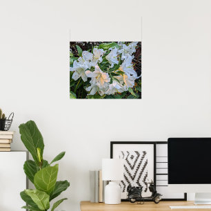 Poster Cartaz Fotográfico Floral White Lily Blooms