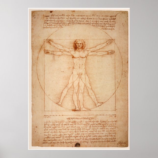 Poster Cartaz Homem Vitruviano por Leonardo da Vinci (Frente)