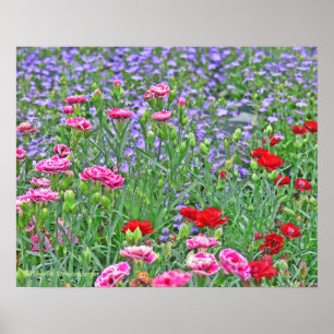 Pôster cartaz, JARDIM DE FLORES COLORIDAS, MISTAS/VERMELH