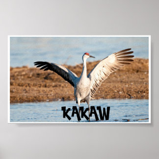 Poster Cartaz KAKAW