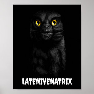 Poster Cartaz Latenivenatrix Troodon Stenonychosaurus