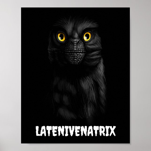 Poster Cartaz Latenivenatrix Troodon Stenonychosaurus (Frente)
