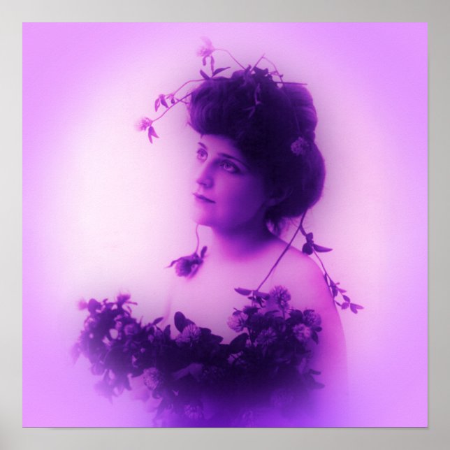 Pôster Cartaz Lilac de Miss Whitlock (Frente)