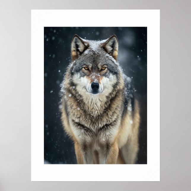 Poster Cartaz Lobo de Yellowstone (Frente)