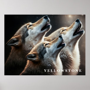 Poster Cartaz Lobos de Yellowstone