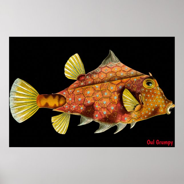 Poster Cartaz Mal-Humorado Oul (Frente)