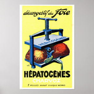 Poster Cartaz Médico Francês Vintage Hepatogenes Charvoz