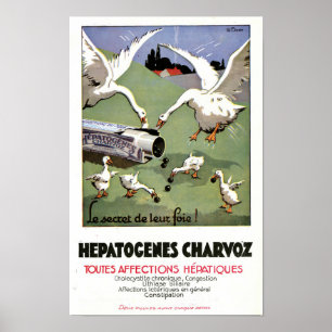 Poster Cartaz Médico Francês Vintage Hepatogenes Charvoz