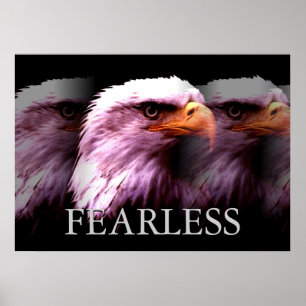 Poster Cartaz Motivacional da Águia Americana Careca Dest