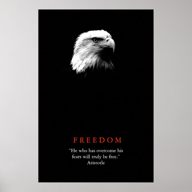 Pôster Cartaz Motivacional Liberdade Preto Branco Águia C (Frente)