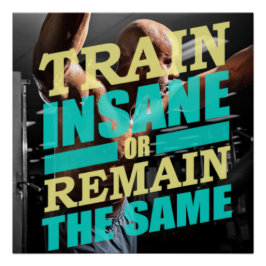 Pôster Cartaz Motivacional Treinar Insano