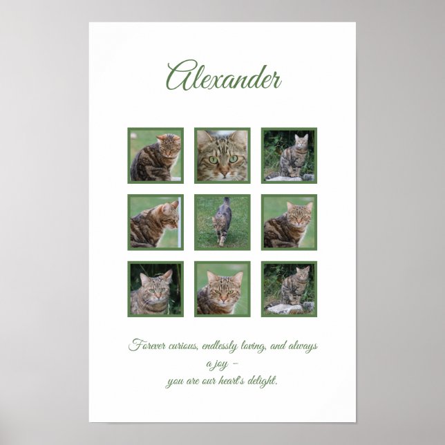 Poster Cartaz Personalizado de Celebração de Pet (Frente)