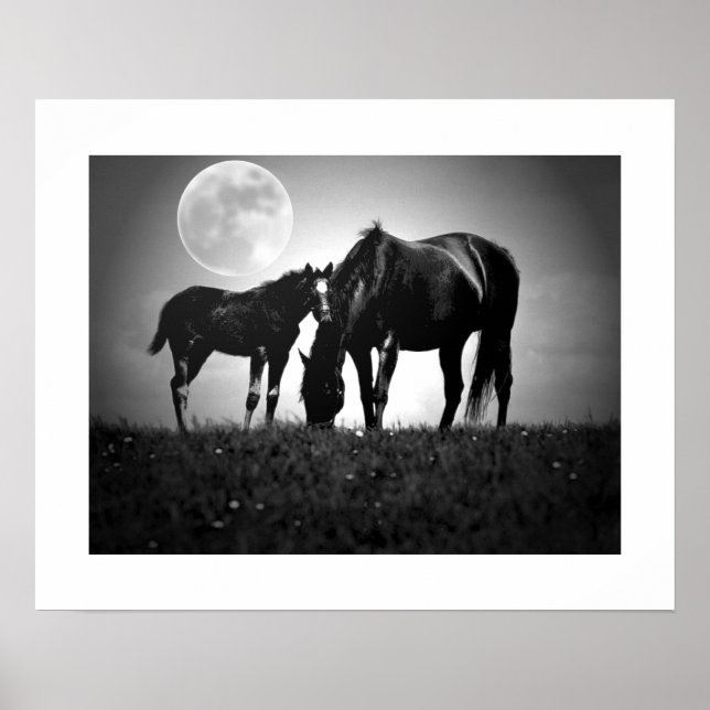 Pôster Cartaz Quadrado de Arte Pop de Cavalos e Lua (Frente)