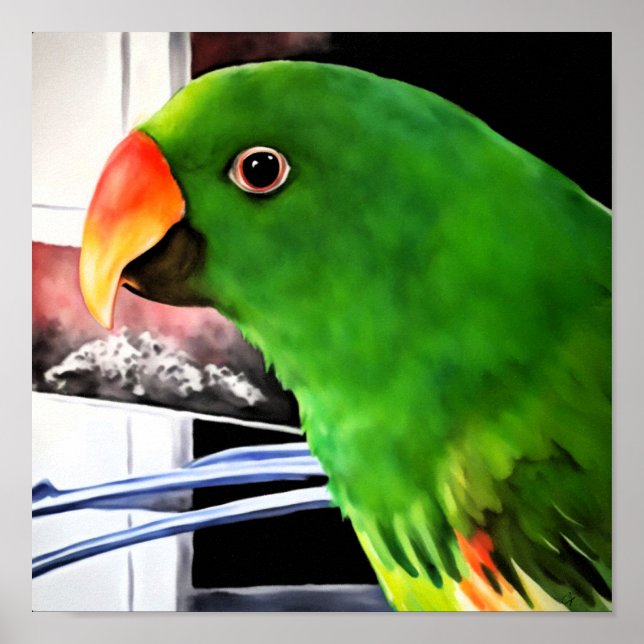 Poster Cartaz Quadrado de Papagaio Eclectus (Frente)