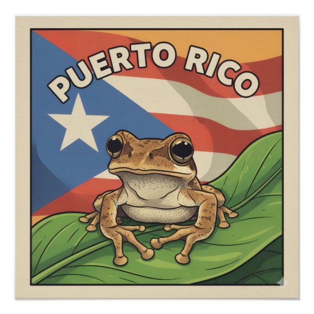 Pôster Cartaz Retro Orgulho Boricua (Frente)